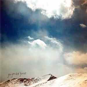 You You Dark Forest - Sky and Turning FLAC