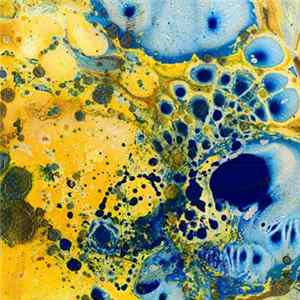 The Gentle Good - Ruins / Adfeilion FLAC