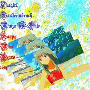 Catgirl / Kaelteeinbruch / Ninja McTits - Happy New Years 2014 FLAC