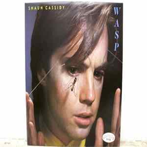 Shaun Cassidy - Wasp FLAC