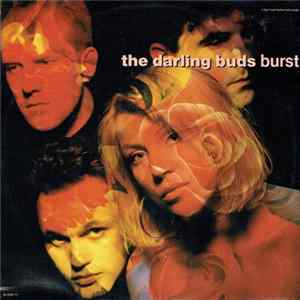 The Darling Buds - Burst FLAC