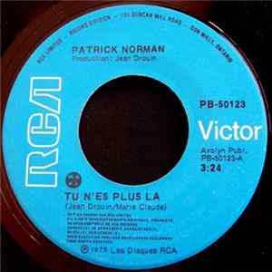 Patrick Norman - Tu N'es Plus La FLAC