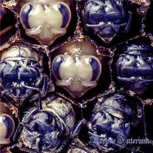 Royal Jelly - (Ⓘ_Ⓘ) 5 - Vespae Interium [Hypopharynx Secretions I​-​VI] FLAC