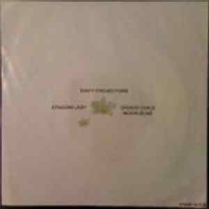 Dirty Projectors - Twenty Bees 7" FLAC