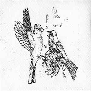 Abus - Abus FLAC