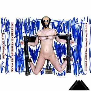Torturing Nurse / Fujui Wang - Split Tape FLAC