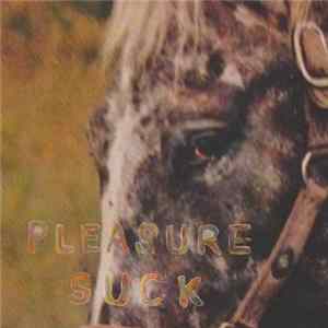 Spirit Of The Beehive - Pleasure Suck FLAC