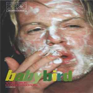 Babybird - You're Gorgeous FLAC