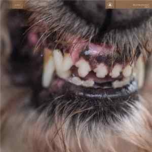 Blanck Mass - World Eater FLAC