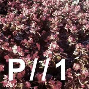 Parallelism - [Cycle A] FLAC