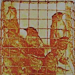 Martyn Bates - Americas Dissonance FLAC