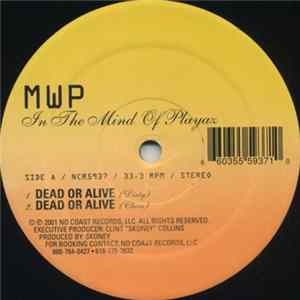 MWP - In The Mind Of Playaz FLAC