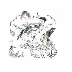 goldFFinch - Remixes FLAC