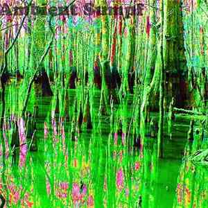 Wolfgang Raspe - Ambient Sumpf FLAC