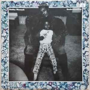 Bobby Womack - Understanding FLAC
