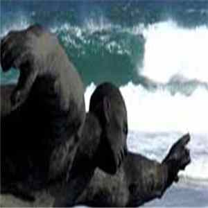 Ironlung - Dreaming Of The Seas FLAC