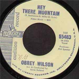 Obrey Wilson - Hey There Mountain / Say It Again FLAC