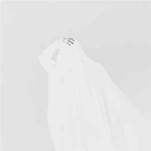 Ash Koosha - Unnamed FLAC