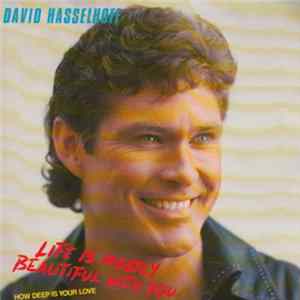 David Hasselhoff - Life Is Mostly Beautiful With You FLAC