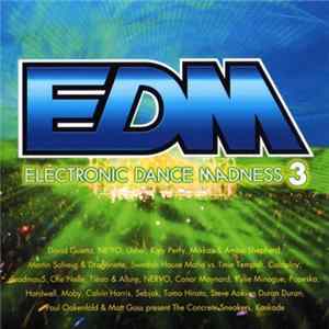 Various - EDM Electronic Dance Madness 3 FLAC