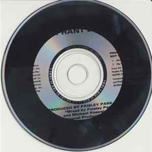 Ingrid Chavez - Elephant Box FLAC