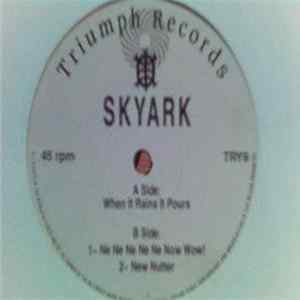Skyark - When It Rains It Pours FLAC