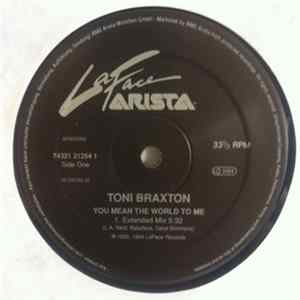 Toni Braxton - You Mean The World To Me FLAC