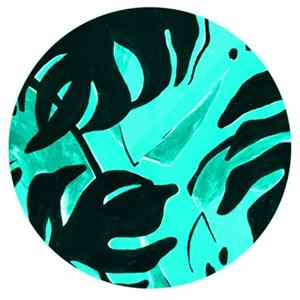 Bawrut - Ciquita / 1-2-3-4 Remixes FLAC