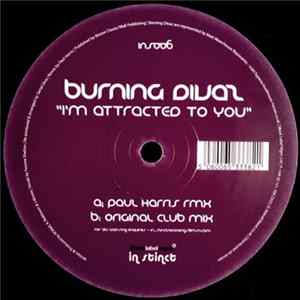 Burning Divas - I'm Attracted To You FLAC