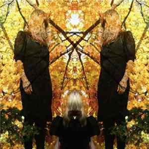 Austra - Feel It Break FLAC