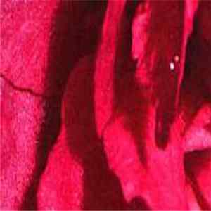 ONQ Stoq / The Violet Grind - Split FLAC