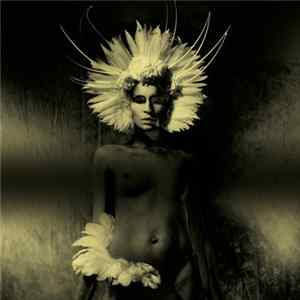 UNKLE - Where Did The Night Fall: Another Night Out FLAC