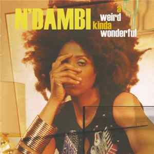 N'Dambi - A Weird Kinda Wonderful FLAC