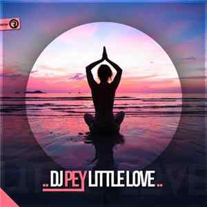 DJ Pey - Little Love FLAC