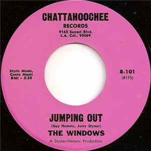 The Windows - Lower Lower FLAC