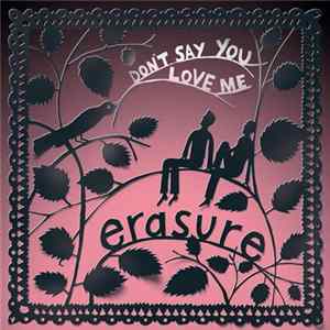 Erasure - Don't Say You Love Me (Jeremy Wheatley Single Mix) - Single FLAC