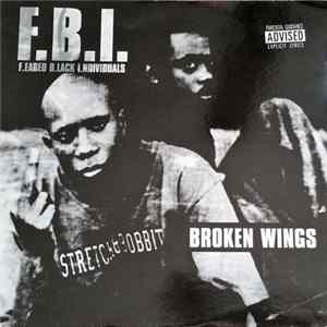 F.B.I. - Broken Wings FLAC