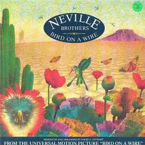 Neville Brothers - Bird On A Wire FLAC