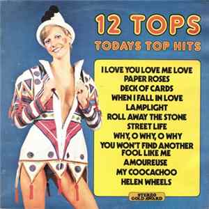 Unknown Artist - 12 Tops Todays Top Hits FLAC