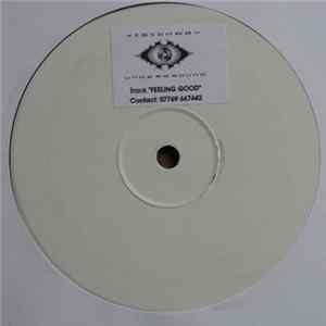Visionary Underground - Feeling Good / Ride FLAC