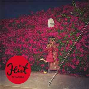 Feist - Pleasure FLAC