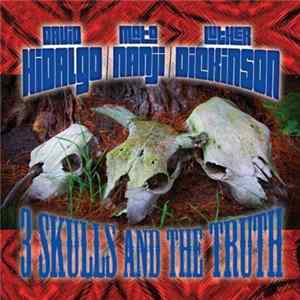 David Hidalgo, Luther Dickinson, Mato Nanji - 3 Skulls And The Truth FLAC