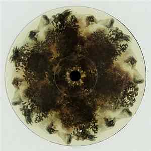 Simone Venanzi - Body & Soul FLAC