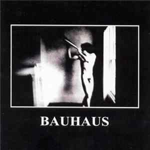 Bauhaus - In The Flat Field FLAC