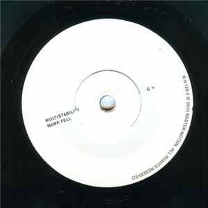 Mark Fell - Multistability FLAC