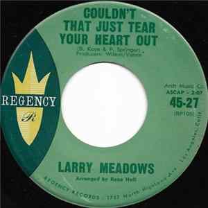 Larry Meadows - Couldn't That Just Tear Your Heart Out / Pretending FLAC