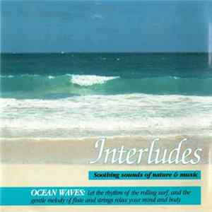Steven Gruskin - Interludes (Ocean Waves) FLAC