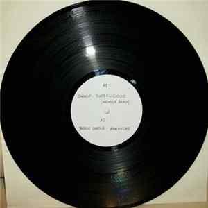 Various - Unknown Sampler FLAC