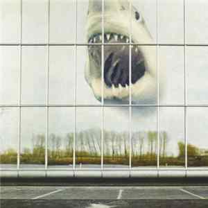 Black Mountain - Wilderness Heart FLAC