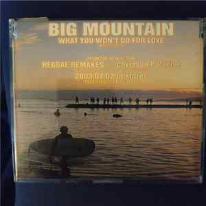 Big Mountain - What You Won't Do For Love FLAC